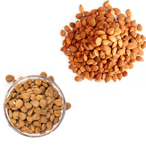 Grano de albaricoque | Rico en aceites naturales para líneas cosméticas - Product Image 2