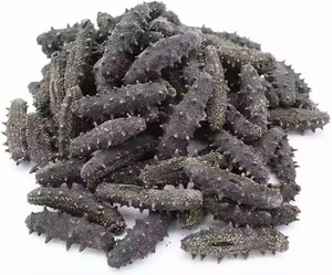 Tươi khô biển dưa chuột/biển-to-bảng chất lượng/Made <span class=keywords><strong>in</strong></span> Việt Nam - Product Image 5