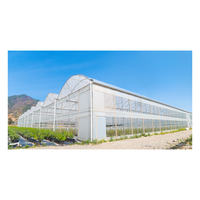 Serre de tomate à faible coût Film plastique multi-travée Serre en dents de scie Fabrication Fournisseur Serre avec système hydroponique