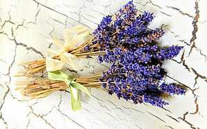 Lavande 40/42 huile essentielle pure de qualité supérieure grand fabricant indien OEM approvisionnement avec Kanha Nature huiles ingrédient de fleur - Product Image 6