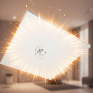 RADIANT HEATER Infrared Heater LED Lighting Dual-Purpose Ceiling Mounted <b>Remote</b> <b>Control</b> Overheat Protection Energy Efficient - Product Image 6