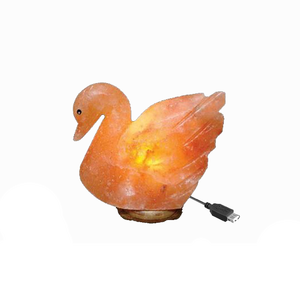 Lámpara de sal en forma de pato hecha a mano pura del Himalaya, vidrio pulido, decoración del hogar, estilo náutico tallado - Product Image 1