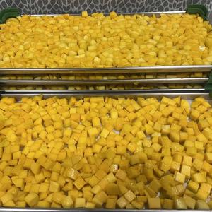 OEM 100% Naturel, Dés de Mangue Vietnamienne Sucrée, Cubes de Fruits Surgelés LQF en Vrac, Sous Vide, Préservés dans l'Eau - Product Image 1
