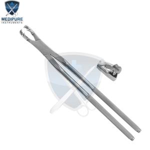 Forceps dentaires pour chevaux en acier inoxydable, conçus pour l'extraction contrôlée des molaires, des prémolaires et des incisives, usage vétérinaire - Product Image 5