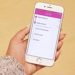 Las mejores soluciones de aplicaciones de entrega de alimentos a pedido | Protolabz eServices - Product Image 3