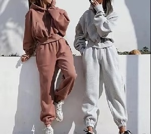 Mujeres Unisex logotipo personalizado impreso sudaderas Stand Collar Otoño Invierno cálido cuello redondo pulóver sin forro polar insignia - Product Image 2