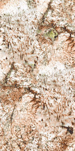 Carreaux de marbre chinois Nouveauté Arrivée Inde Carreaux de décoration intérieure 600X1200mm Fabrication en Inde pour maison de luxe. - Product Image 2