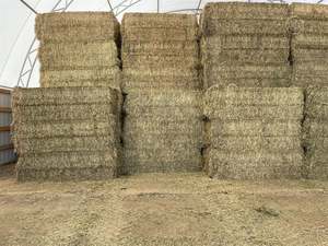 Granulés de foin de luzerne d'exportation en vrac d'approvisionnement d'usine pour l'alimentation de poisson de porc de cheval de bétail - Product Image 3