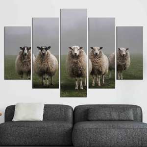 Printed Canvas: Elegant Sheep <b>Photo</b> Art in Farmhouse Black <b>Frame</b>,<b>SET</b> OF 5 MIX CANVAS - Product Image 1