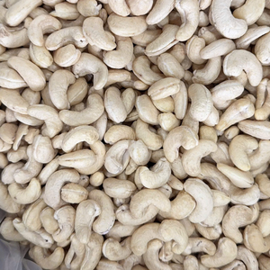Fabrication de noix de cajou brutes W180 W240 Vente en gros de noix de cajou exportées de Santigo vers l'UE, le Moyen-Orient et l'Asie - Product Image 1