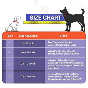 Collier de chien en cuir véritable de luxe élégant réglable ceinture de cou cloutée durable pour toutes les races à libération rapide Made in India - Product Image 5