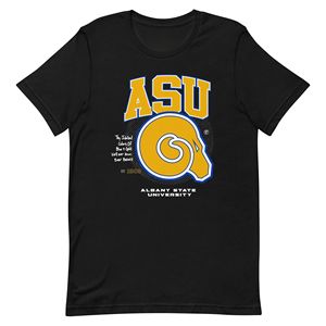 Camiseta de punto transpirable personalizada de la Universidad Estatal de Albany HBCU College Team Apparel Summer Casual Camiseta al por mayor - Product Image 1