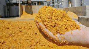 High Quality First-<strong>Class</strong> DDGS Rice Protein <strong>Poultry</strong> Feed for Horse Cattle Pig Ready for Indian Export