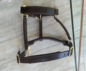 Miniature Horse <b>Leather</b> Halter High Quality OEM ODM Comfort Direct Factory Outdoor Sports Equestrian Horse Riding Kanpur India - Product Image 4