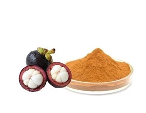 Garcinia Mangostana <b>Extract</b> 60% Raw Material Powder for Manufacturing and Processing for Best Wholesale Price - Product Image 1