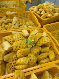 Premium Frozen Pineapple - Hot Product Perfect for ingredient Juice, smoothies, and beverages - Made by VIET THIEN PHU - Product Image 6