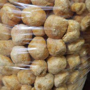 Fabricantes Suministran Hongos Hericium Erinaceus Secos Cultivados Artificialmente de 3-10 cm - Product Image 5