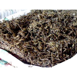 ใบเจลลี่หญ้าดำแห้งของเวียดนาม (Mesona Chinensis) ราคาแข่งขันสำหรับการส่งออกจากเวียดนาม - Product Image 6