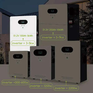 Système de production d'énergie solaire hybride 51,2 V 300 Ah, batterie de stockage d'énergie domestique, onduleur, capacité de 10 kWh, protection IP65 - Product Image 6