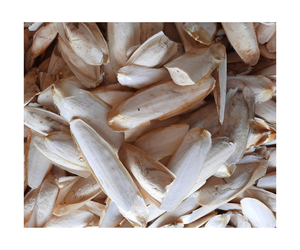 กระดูกปลาหมึกแห้งสำหรับสัตว์เลี้ยงสัตว์เลื้อยคลาน100% ปูฤาษีธรรมชาติสำหรับนกแก้วยาเวียดนาม - Product Image 1