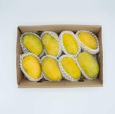 Xoài tươi cao cấp có sẵn với giá số lượng lớn để vận chuyển trên toàn thế giới - Product Image 5