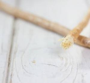 VitalHerb Natural Miswak Bâton dentaire à base de plantes bio Soins dentaires écologiques Protection blanchissante Haleine fraîche Hygiène buccale - Product Image 1