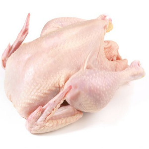 Poitrine de poulet congelée sans os de qualité supérieure HALAL, qualité musculaire, vente en gros, emballée en vrac - Product Image 3