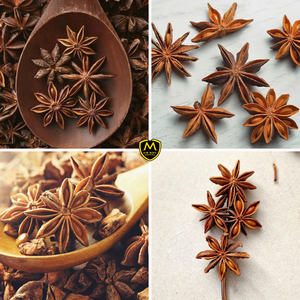 Anís Estrellado Seco Natural _ Suministro al por Mayor para Fabricantes de Alimentos e Importadores - Product Image 4