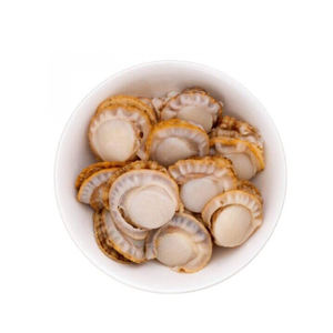 Carne de vieiras cocidas de alta calidad, preparada para venta al por mayor con el cuidado necesario. - Product Image 1