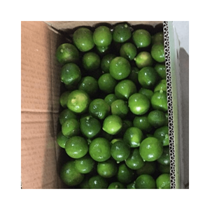 Suministro de limón fresco/limón fresco de Vietnam con precio competitivo y alta calidad desde 99GD - Product Image 4