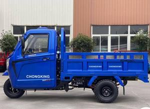 Tricycle cargo à cabine à essence Dayang Stable Balance 200cc neuf - Product Image 2