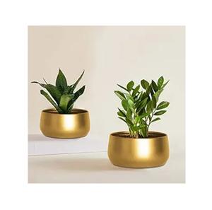 Maceta de decoración del hogar de diseño atractivo, macetas de Metal con soporte para decoración de jardín interior y exterior - Product Image 5