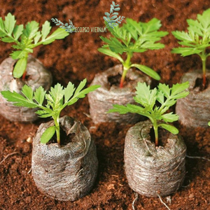 Pépinière de plantation pour graines coco coco tourbe disque coco pellet coco coco coir brick Coco tourbe du Vietnam - Product Image 6