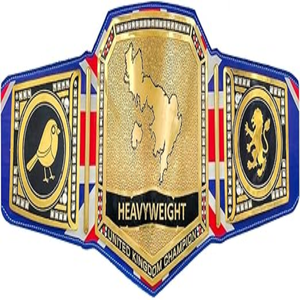 Correa de bandera sublimada profesional, cinturón de campeonato de cuero genuino con aleación de zinc, latón, revestimiento dorado, equipo de artes marciales - Product Image 2