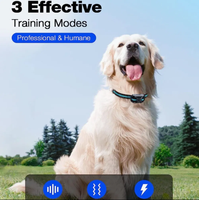 Anpassbares Design Modisches Sensitives Hundetrainingshalsband mit Ton, Vibration und Sicheren Schockmodi zur Verhaltenskorrektur