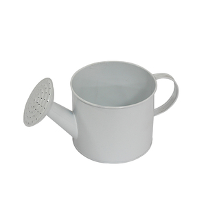 Décoration de jardin moderne fantaisie Arrosoir en métal écologique avec finition galvanisée Conception personnalisée Fournisseur de plantes vertes - Product Image 2