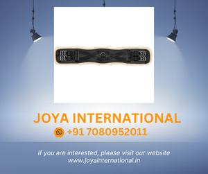 Ceinture de Dressage HORZE atlas - Product Image 2