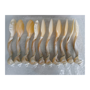 Cuillère en coquillage naturel conçue pour le service de sel ou de caviar avec une finition polie lisse pour une cuisine raffinée et une configuration de table élégante - Product Image 6