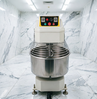 Grande machine à pétrir la pâte pour l'industrie de la boulangerie, pétrin à farine de 10 kg, prix de la machine à pétrir la pâte