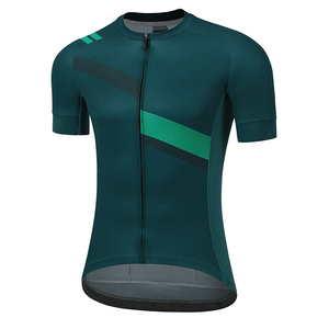 2024 Summer Custom Logo Cycling Jersey Breathable Quick Dry Short Sleeve <b>Road</b> Bike Jersey OEM Team Name Wholesale Cycling Jersey - Product Image 4
