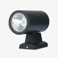 Applique murale LED 20W pour un usage domestique éclairage décoratif Angle de faisceau étroit point culminant architecture Matériaux de première qualité