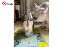 Peinture en poudre effet miroir Chrome Or CT002+ Vert Fluorescent Blanc Rouge Jaune Orange Effet Super Chrome