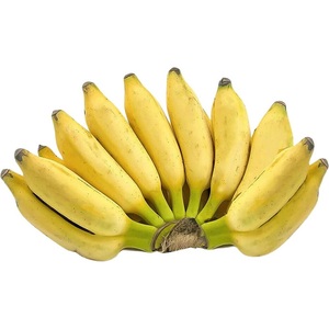 Plátano Fresco Verde de Alta Calidad 100%, Plátano de Exportación, Estándar Internacional, Mejor Precio de Proveedor Principal - Product Image 6