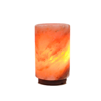 Lampe de sel de l'Himalaya sculptée, style cylindrique, certifiée GMP, avec cordon électrique, pour une décoration intérieure complète, artisanat naturel respirant