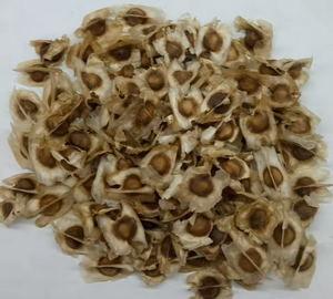 Graines de Moringa Oleifera séchées de qualité supérieure 100% naturelles en vrac pour usage à des fins médicinales - Product Image 1