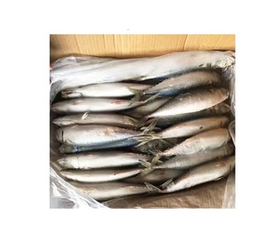 ปลาแมคเคอเรลจากโรงงาน / ปลาแมคเคอเรลสดแช่แข็งจากสเปน 400-600 กรัม - Product Image 6