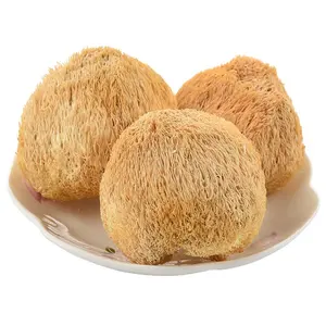 Cogumelo Macaco Selvagem Hericium Orgânico Trufas Secas Cabeça De Macaco Seco Cogumelo Comida Saudável Seco Lions Juba E Cabeça De Macaco Mush