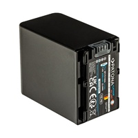 Batterie PATONA Platinum avec entrée USB-C 1.2A NP-FV100 FDR-AX40 FDR-AX45 FDR-CX680 NEX-VG30 3090mAh 22.9Wh 7.4V Li-Ion
