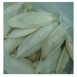 Best Price Chic <b>Cuttlefish</b> Bone From Vietnam, 100% Fresh <b>Cuttlefish</b> Bone For Pet Toy, Eco-Friendly <b>Cuttlefish</b> Bone For Polishing - Product Image 4