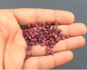 50ピースタイニーラフジェムストーンサイズ2-4MMナチュラルレッドルビー生本物ルビーラフ7月誕生石生レッドルビー未処理クリスタル - Product Image 2
